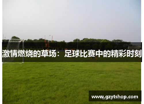 激情燃烧的草场：足球比赛中的精彩时刻