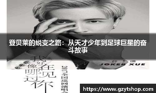 智博19