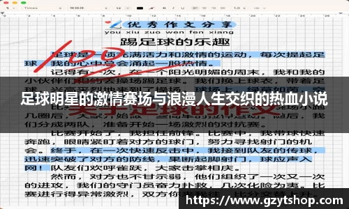 智博19