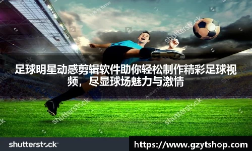 智博19有限公司