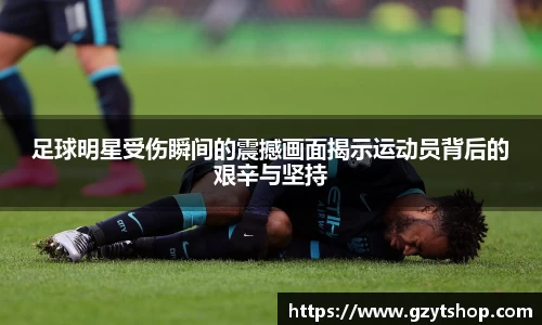 智博19有限公司